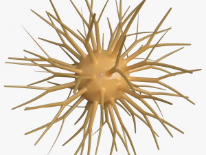 viruses 3D 모델