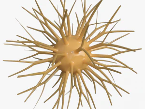 viruses 3D Model