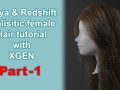 Realistic Female Hair with XGen and Redshift 3D Model