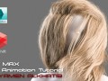 Animating realistic female hair with 3d Max and Redshift 3D Model