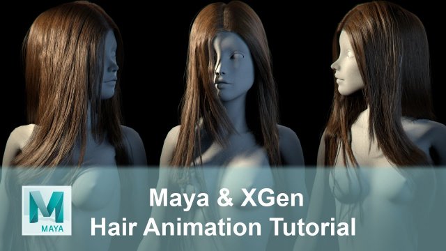 Female Hair Animation with Maya XGen 