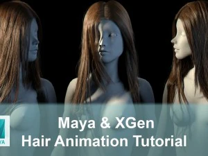 Female Hair Animation with Maya XGen 3D Tutorials