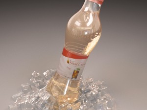 bottle with ice Model 3D