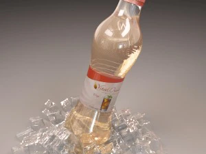 garrafa com gelo Modelo 3D