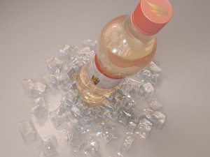 bottle with ice Modelo 3D