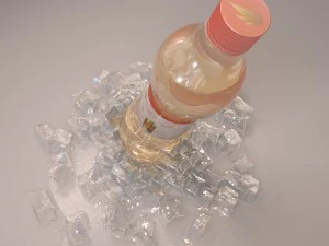 bottle with ice 3D Model