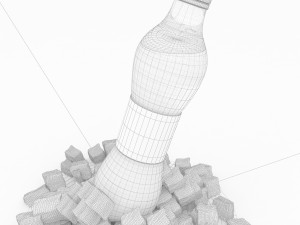 bottle with ice Modelo 3D