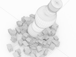 bottle with ice Modelo 3D