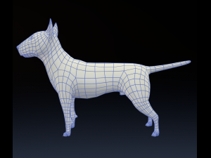 bull terrier 3Dモデル