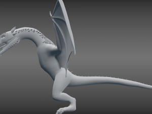 dragon model Model 3D