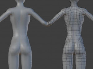 woman base 3D Model