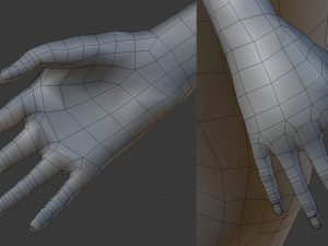 woman base 3D Model