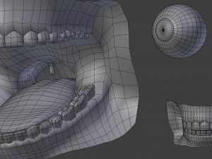 woman base 3D Model
