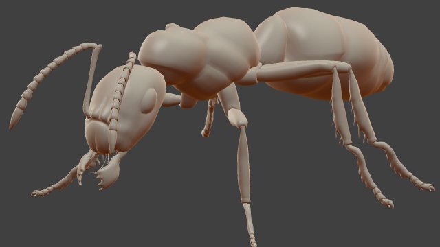 ant model 3D Модель .c4d .max .obj .3ds .fbx .stl .blend 