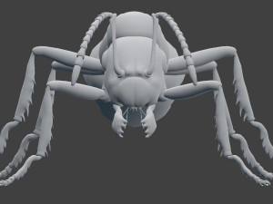 ant model 3D Модель