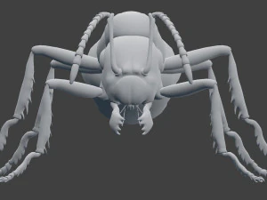 ant model 3D Model