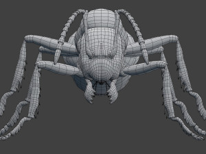 ant model 3D Модель