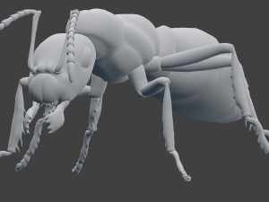 ant model 3D Модель
