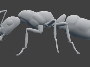 ant model 3D Модель