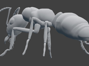 ant model 3D Модель