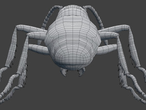 ant model 3D Модель