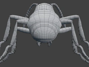 ant model 3D Model