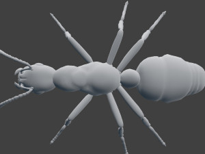 ant model 3D Модель