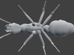 ant model 3D Модель