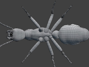 ant model 3D Модель