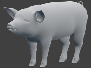 pig model 3D Model