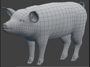 pig model 3D Model