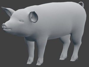 pig model 3D Model