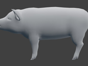 pig model 3D Model
