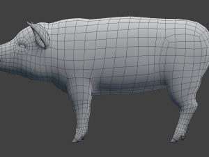 pig model 3D Model