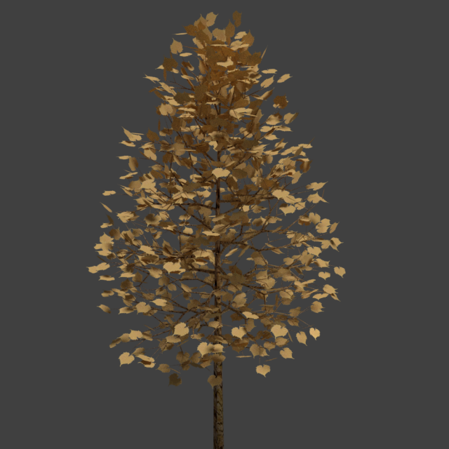 realistic tree 3D 모델 .c4d .max .obj .3ds .fbx .stl .blend 