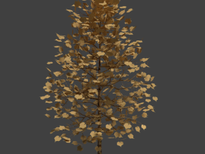 realistic tree 3D Model