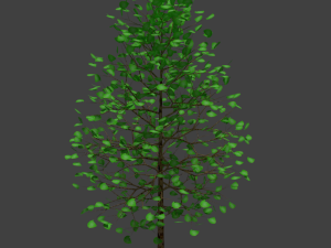 realistic tree 3D 모델