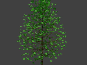 realistic tree 3D Model