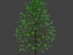 realistic tree 3D 모델