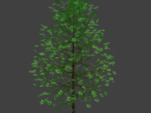 realistic tree 3D Model