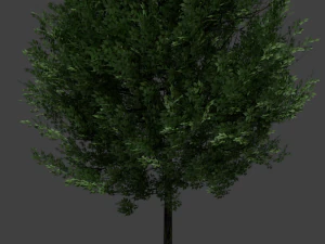 realistic tree 3D Model
