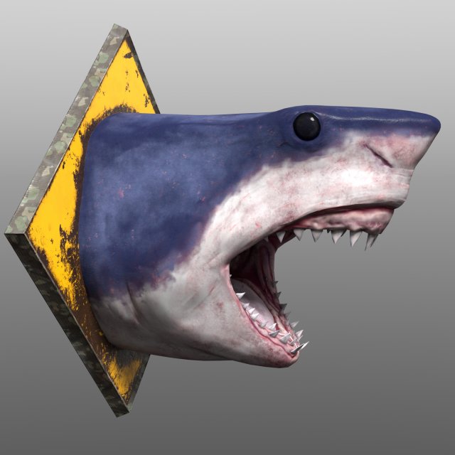shark head1a Model 3D .c4d .max .obj .3ds .fbx .stl .blend 