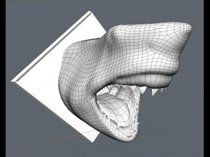 shark head1a Model 3D
