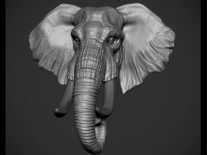 elephant head 3D 打印模型