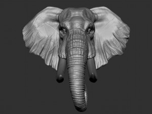 elephant head 3D 打印模型
