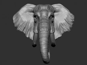 elephant head 3D Print Model