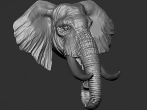 elephant head 3D Print Model
