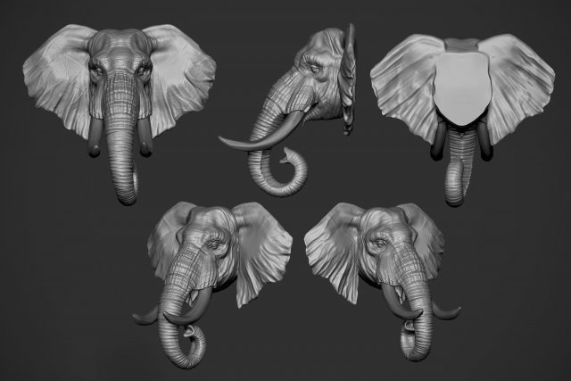 elephant head 3D 打印模型 .c4d .max .obj .3ds .fbx .stl .blend 