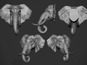 cabe&ccedil;a de elefante Modelo de Impressão 3D