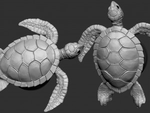turtle 3D प्रिंट मॉडल
